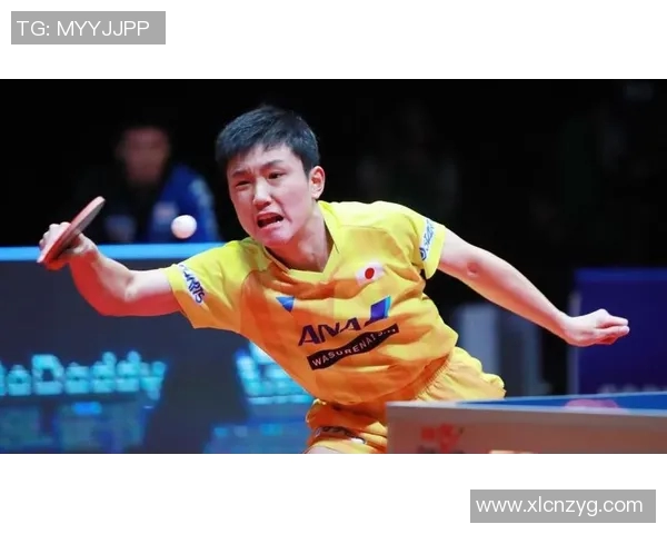 杭州羽毛球队转型之路揭秘：从传统强队到现代化竞技新标杆