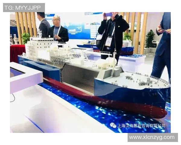 深度分析LNG市场的防御与反击策略探讨