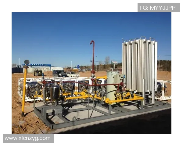 青年赛分析：LNG在技术层面的精彩表现与未来发展潜力探讨