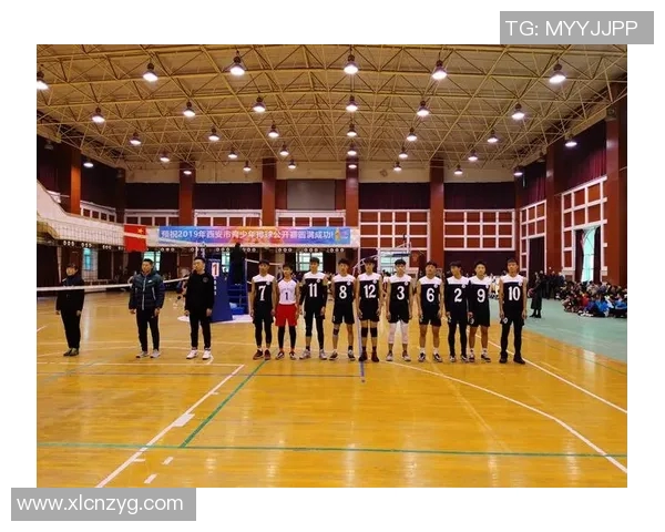 西安排球队实力分析与排球战术探讨之深度剖析