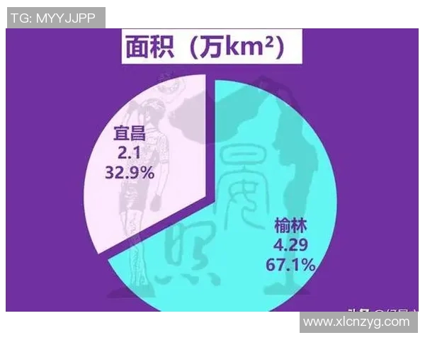 重庆网球队在大师赛积分榜上以80分稳居第一展现强劲实力