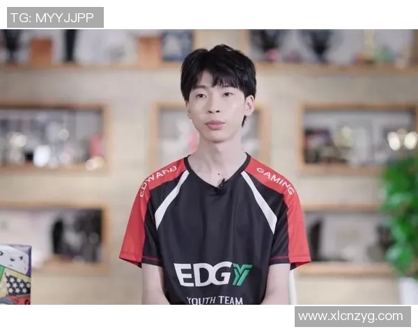 EDG职业联赛转型之路的深度解析与未来展望