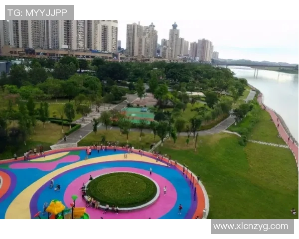 从零起步掌握篮球节奏技巧全面指南助你成为场上明星