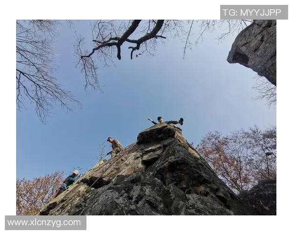 南京攀岩队个人能力提升之路热议攀岩运动的变革与发展