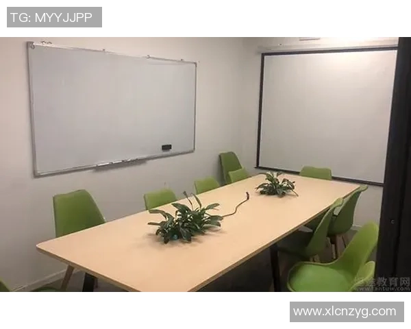 北京网球队快攻战术解析与实战应用探讨