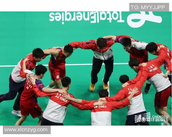 对话杨强：回顾羽毛球生涯的辉煌与挑战与未来展望