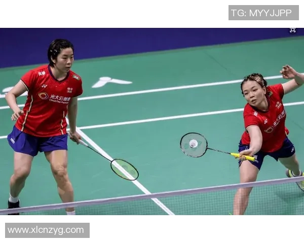 成都羽毛球队与杭州羽毛球队赛后复盘分析力量对比与战术探讨