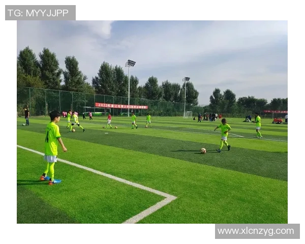 张秀英独家揭秘足球技巧与战术分享助你提升球技