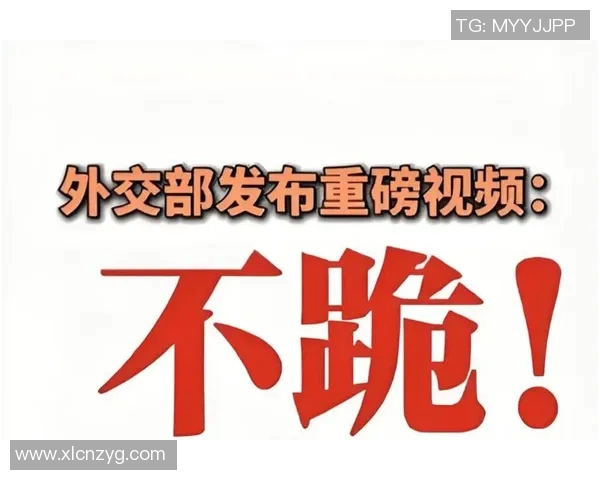 谢什科的崛起与挑战：探讨其在国际舞台上的影响与未来发展方向