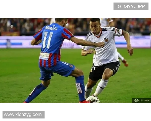 冰岛女足与乌克兰女足对决前瞻分析及比赛结果预测