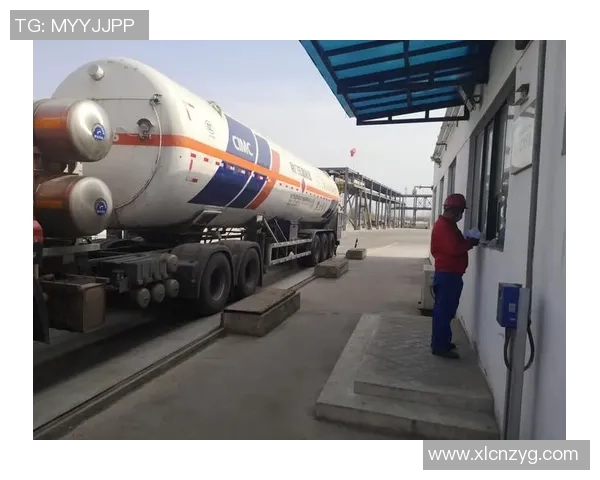 数据分析揭示LNG团队协作表现的关键因素与提升策略