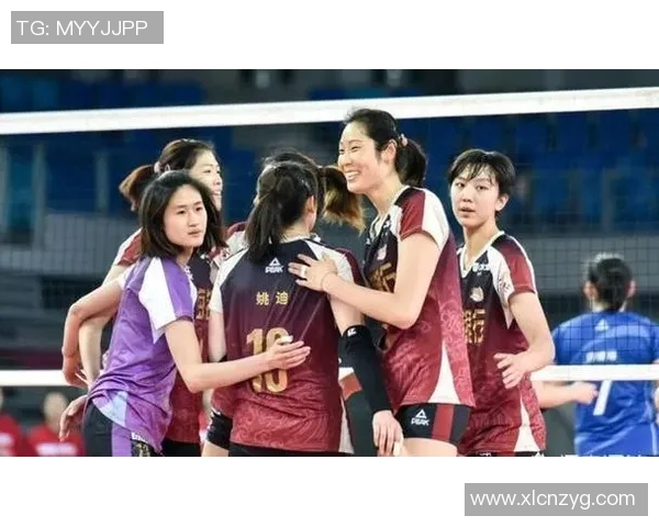 武汉排球队技术表现深度分析与数据解读探讨